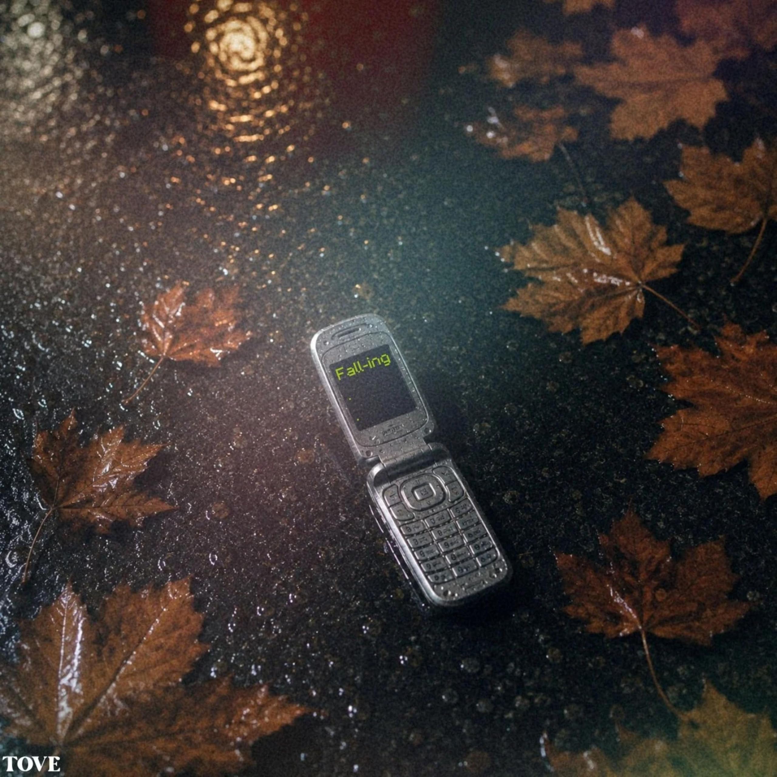 Image Cover